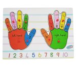Hands - English With Plastic Knob
