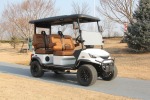 Dach Apollo Luxury Rugged Golf Cart White With Tan Seats For