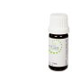 Escentia Cumin Seed Pure Essential Oil - 20ML