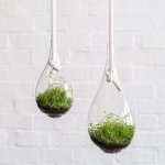 Raindrop Glass Hanging Planter - Medium - 32CM
