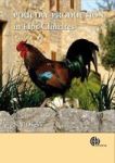 Poultry Production In Hot Cli Hardcover 2ND Edition