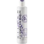 Silver Conditioner 250ML