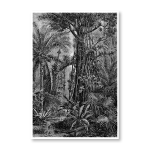 Antique Etching 11 Art Print - A0