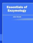 Essentials Of Enzymology Hardcover
