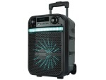 AIWA 10" Trolley Speaker