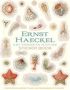 Ernst Haeckel Art Forms In Nature Sticker Book Novelty Book