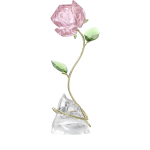 SWAROVSKI Florere Rose