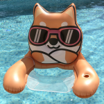Cool Dog Inflatable Pool Float And Lounger