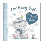 Our Baby Boys First Year