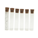 6PC Glass Tubes 10CM H X 2CM W