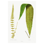 Gathering Green 5 Art Print