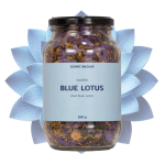 Sacred Blue Lotus Dried Flower Petals - 30G Refill Pack