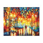 Adult Painting By Numbers - Rainy Day Strolling
