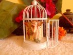 Fairy Protection Society Fairy In Cage L42