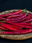 Capsicum Rajah - Chili Seed - 20 Raw Seed