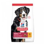 Adult Large Breed With Chicken Dog Food - 12KG
