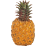 Queen Pineapple
