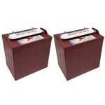 Trojan T-875 8V Deep-cycle Flooded Battery 170AH Golf Cart Renewable Energy Industrial Marine Use Pack Of 2