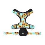 Dog Harness Adjustable Large-teal