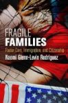 Fragile Families - Foster Care Immigration And Citizenship Hardcover