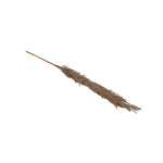 Artificial Pampas On Stem - Brown