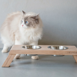 Bentley Dog Feeder - Small - 51CM L X 11CM H X 17CM W