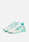 Puma Motorsport MAPF1 Maco Sl