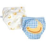 2PCS Pull Up Reusable Toddlers Training Potty Pants - Cloth Diaper - Bannana