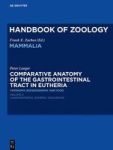 Comparative Anatomy Of The Gastrointestinal Tract In Eutheria II - Taxonomy Biogeography And Food Laurasiatheria General Discuss