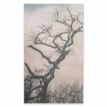 Pink Blue Tree Canvas