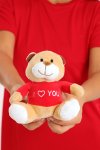 Valentine’s Day Plush Teddy Bear