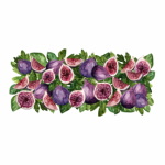 Vinyl Transfer Border Figs