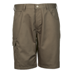 Rogue Shorts Ps-rog Khaki 28