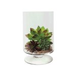 Ftd Cylinder 26X20 Cm