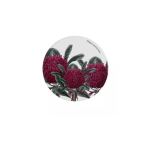 Maxwell & Williams 9.5CM Royal Botanic Gardens Round Coaster