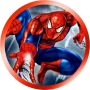 Edible Prints/sheet Spider-man Print