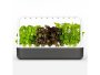 Smart Garden 9 Indoor Gardening Kit Grey