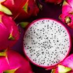 Dragonfruit Cuttings - White