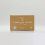 External Damp