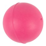 Complete Dog Toy Solid Rubber Ball