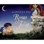 A Guinea Pig Romeo & Juliet Guinea Pig Classics