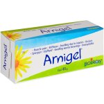 Arnigel 45G
