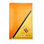 Manila Folders 230GM 100 Bright Orange