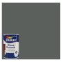 Dulux Gloss Enamel Paint 5L Botanical Grey