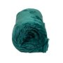 Coral Fleece Blanket Green