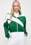 Reebok Cl Ae Fr Tt - Dark Green