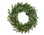 Grandis Wreath With Micro-led 80X8CM