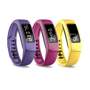 Garmin Vivofit 2 Bands Bundle - Canary/pink/violet Large