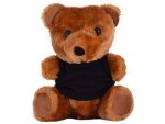 Teddy Plush Toy