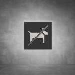 No Dogs Allowed Sign - Black - Powder Coated Aluminum